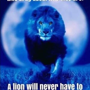 Meet your Posher, Jenifer